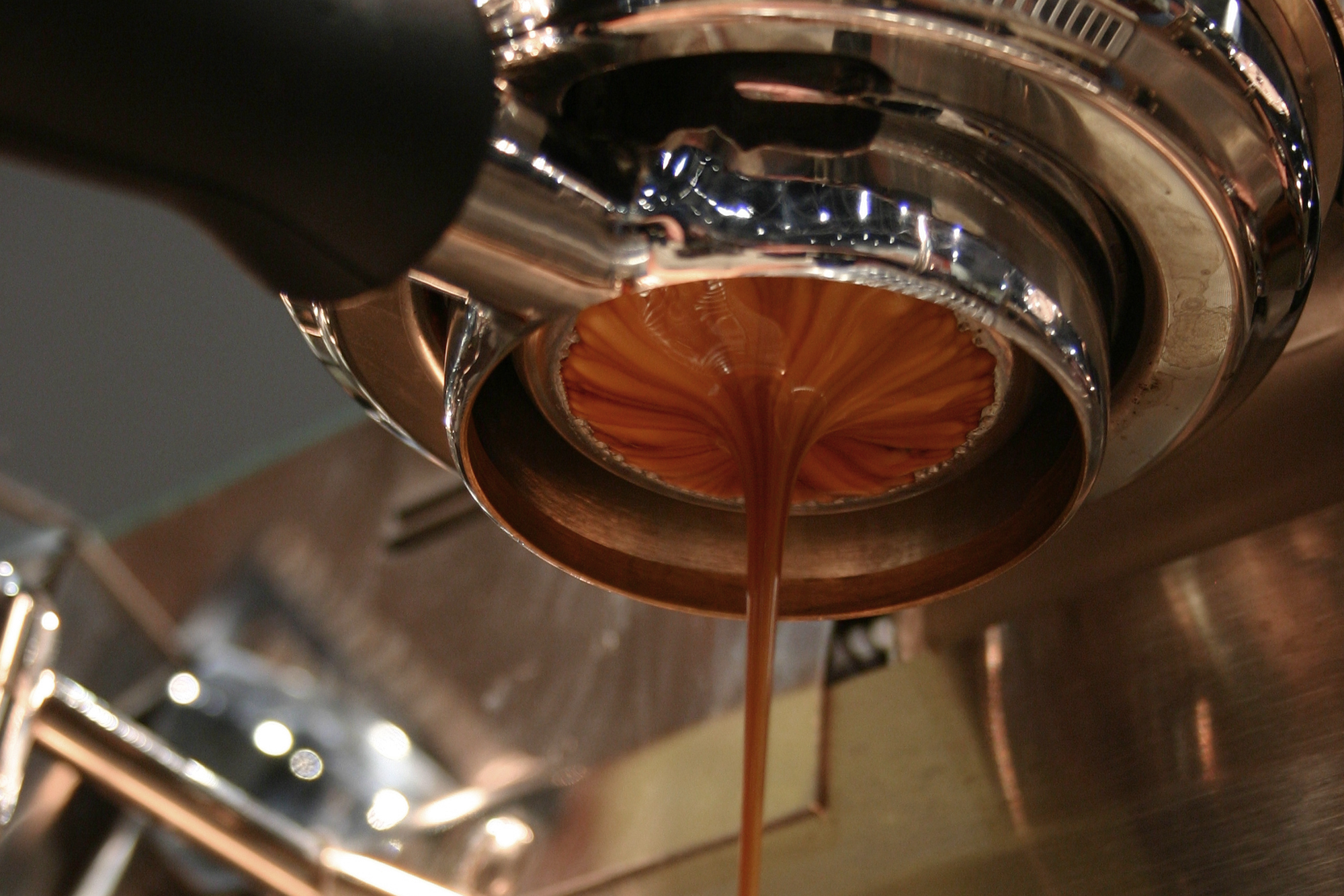 Fresh is best » Miele For Life